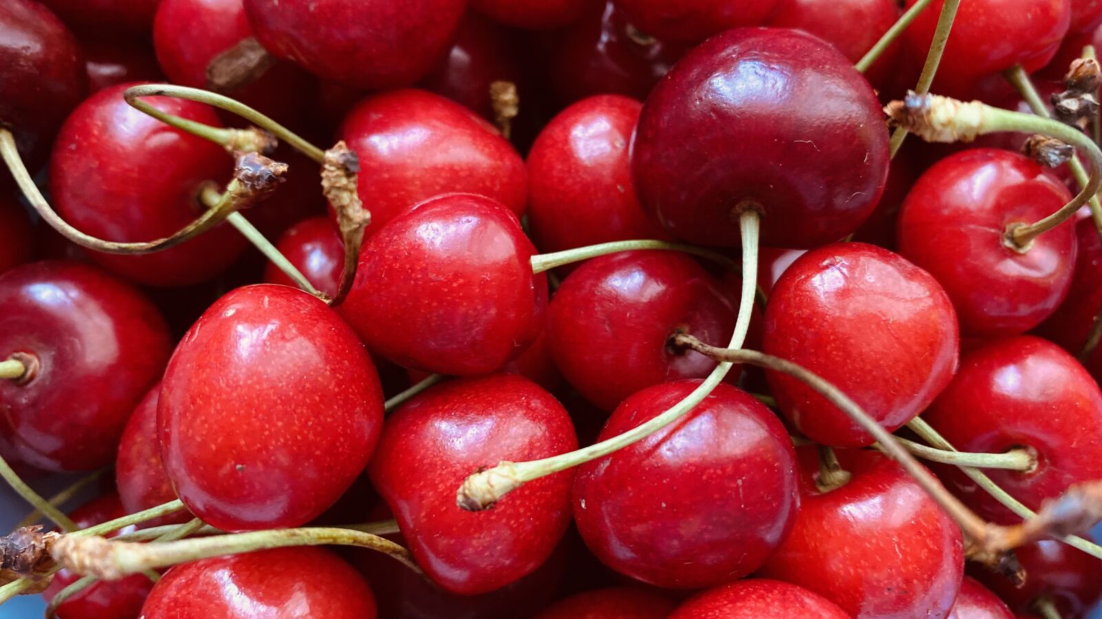 Apple iPhone 11 sample photo. Cherries, fruits, fresh photography