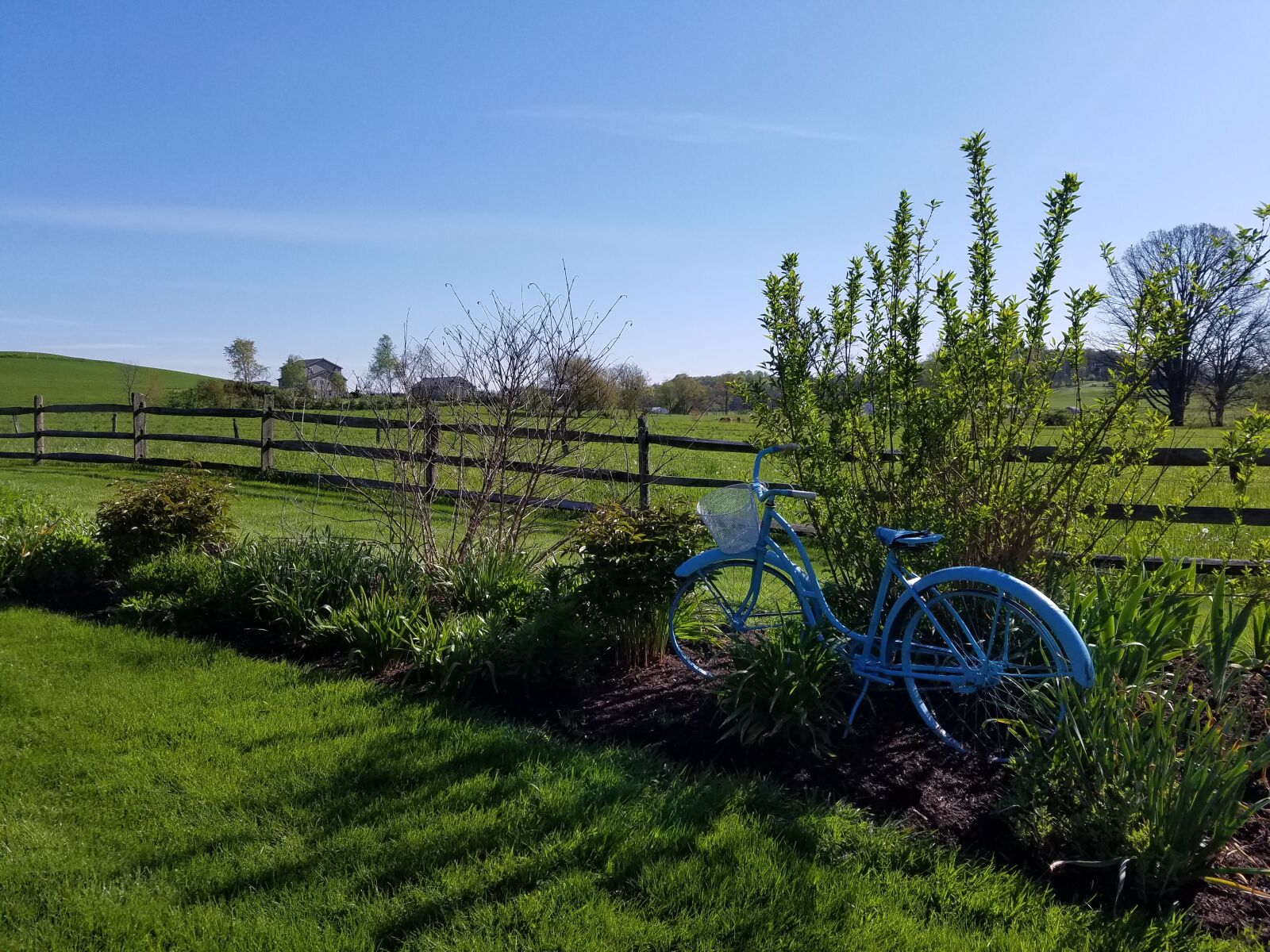 Samsung Galaxy S7 Edge sample photo. Pasture, nature, bicycle photography