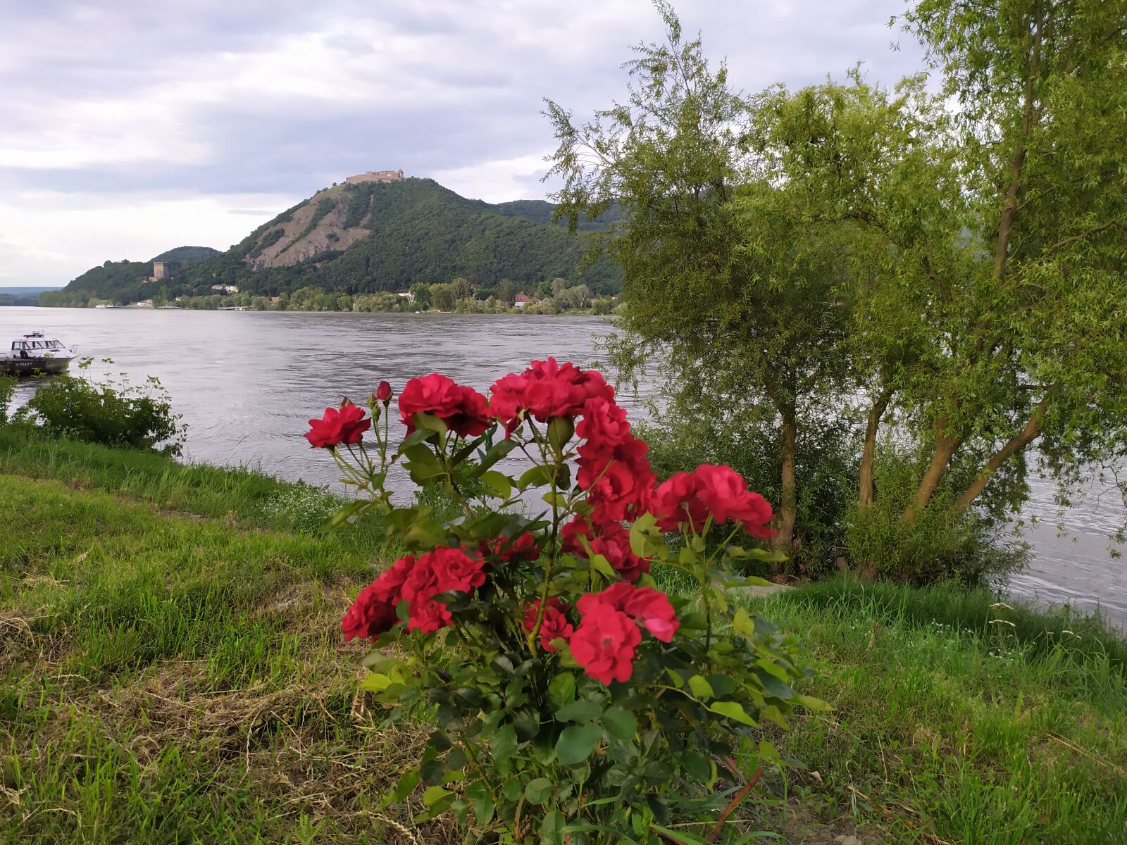 Xiaomi Redmi Note 7 sample photo. Nagymaros, danube, danube bend photography
