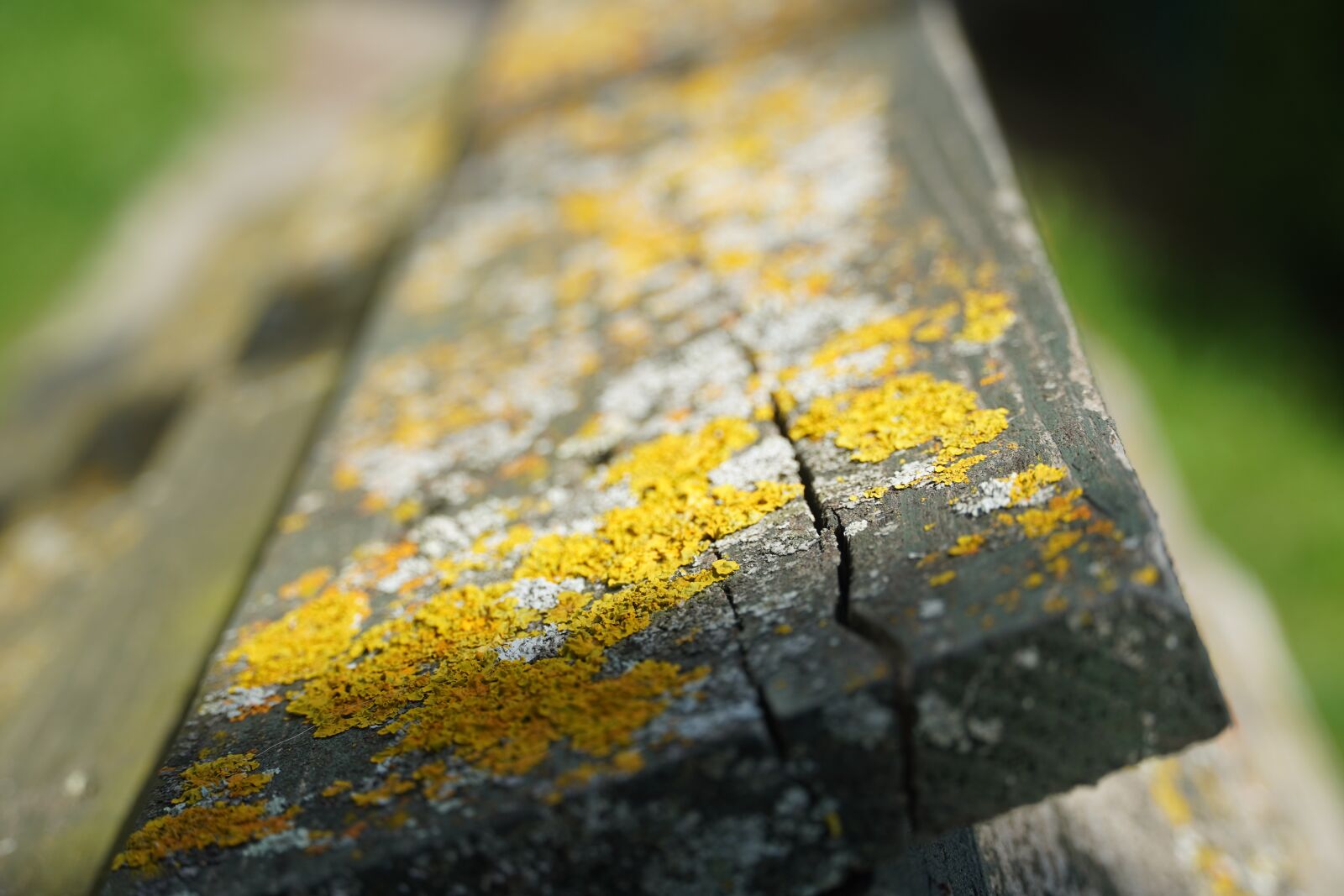 Sony a6400 sample photo. Wood, rust, old photography