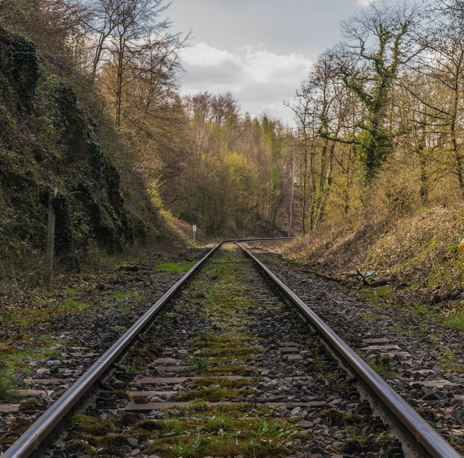 Nikon D3300 sample photo. Gleise, rails, railway photography