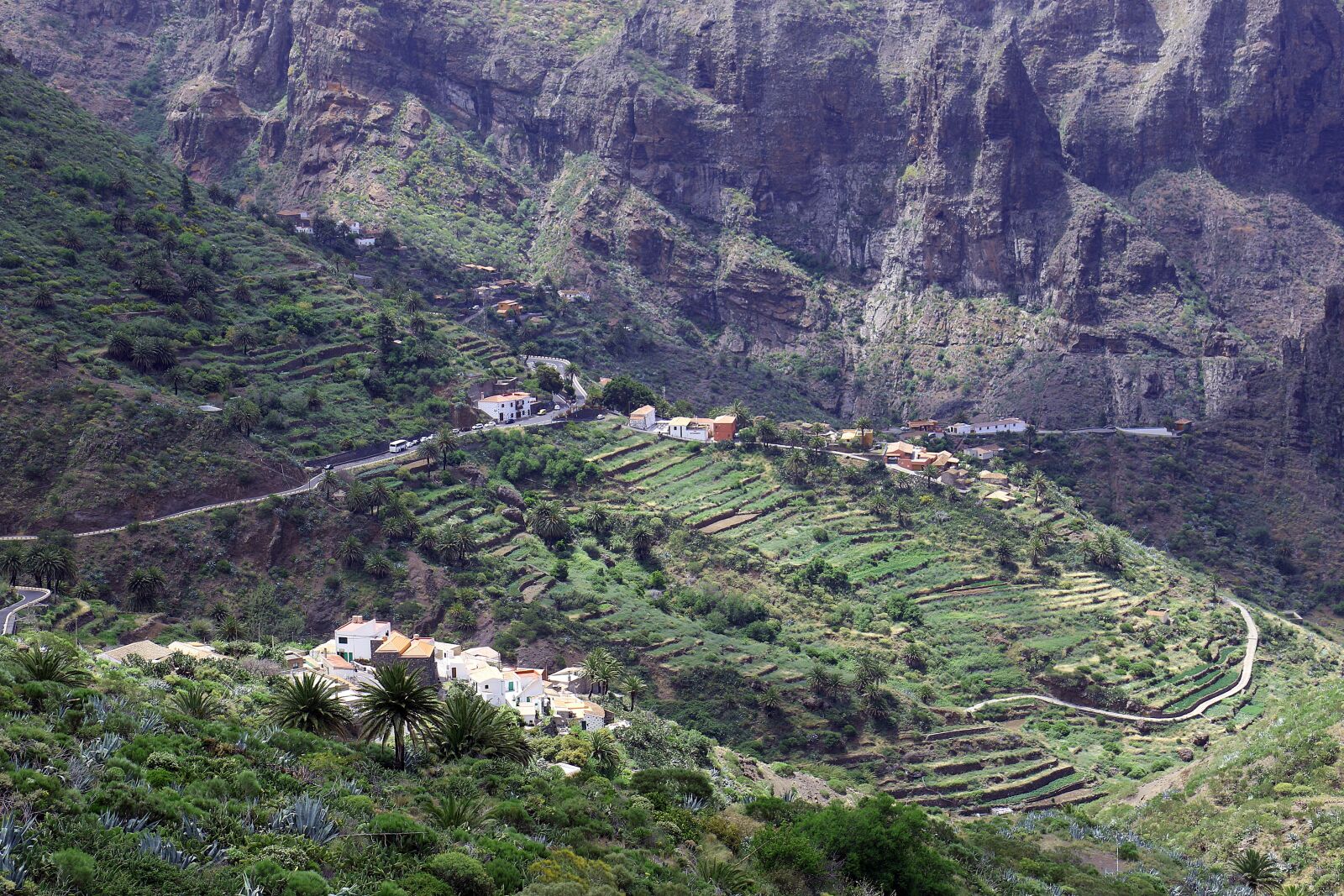 Canon EOS 7D Mark II sample photo. Tenerife, masca, village photography