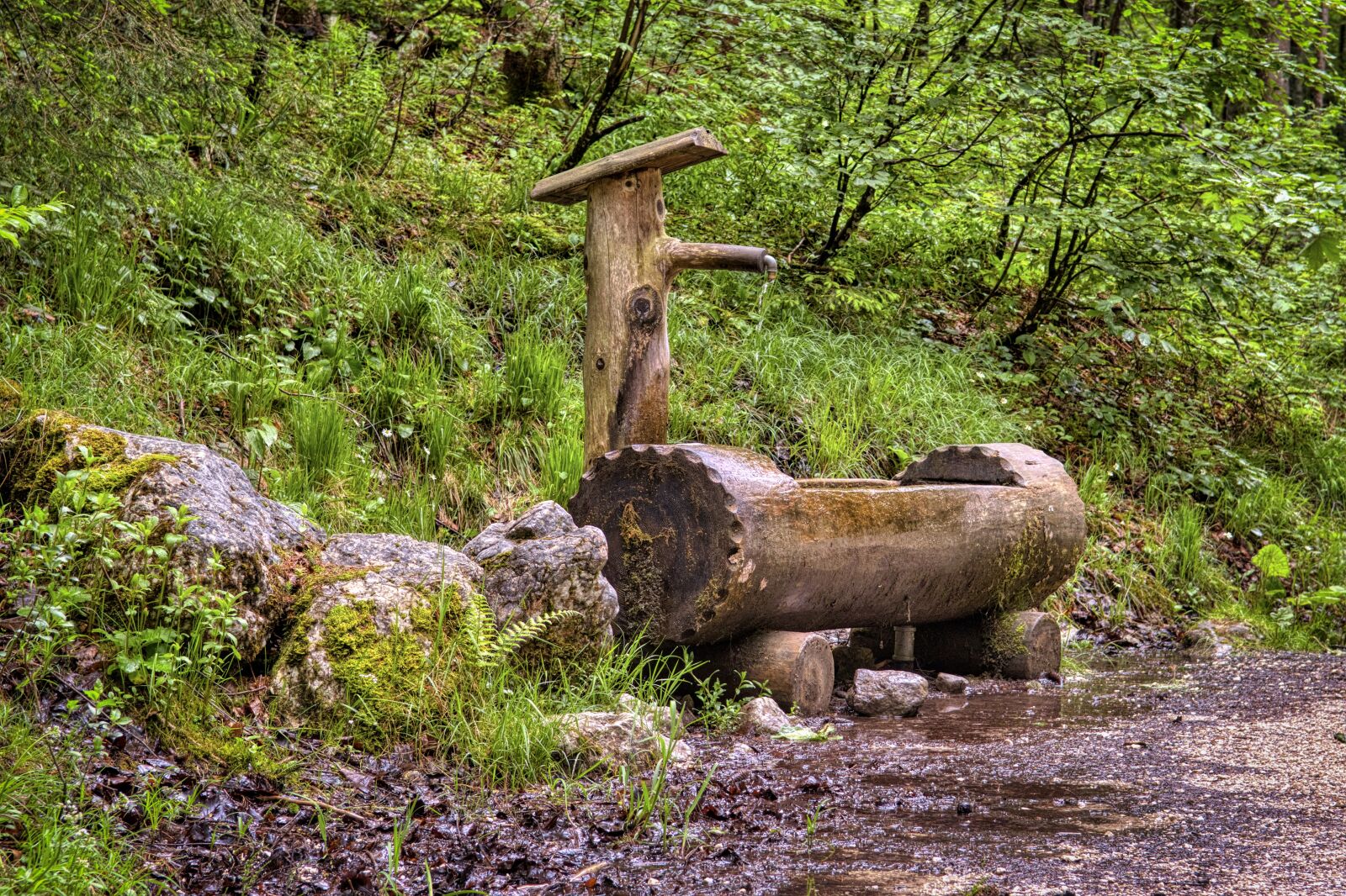 Nikon D7500 sample photo. Wood fountain, potions, brunnentrog photography