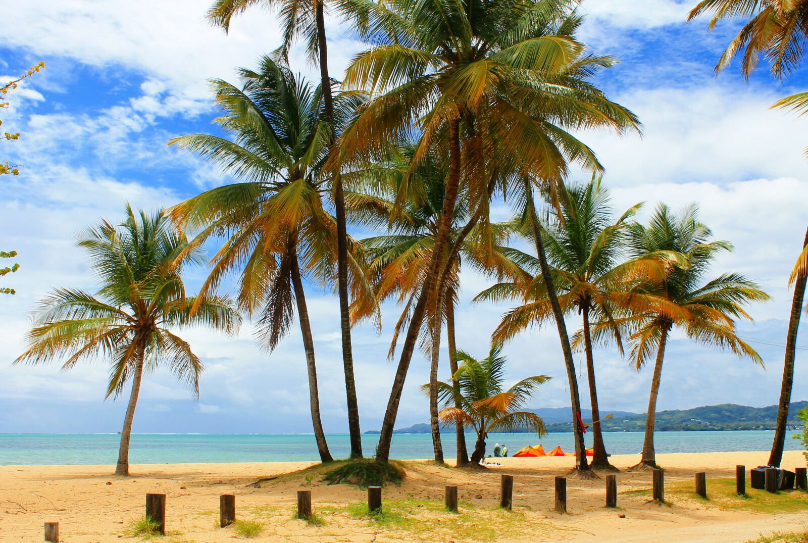 Canon EOS 1100D (EOS Rebel T3 / EOS Kiss X50) sample photo. Palm trees, beach, island photography