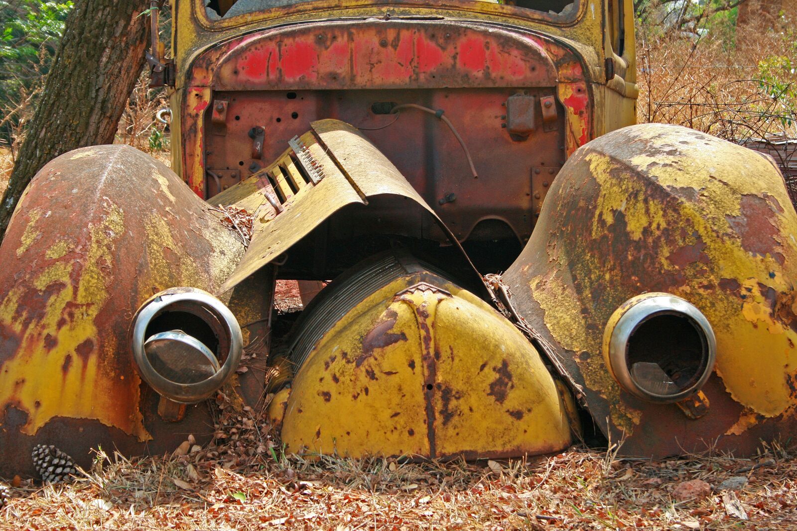 Canon EOS 400D (EOS Digital Rebel XTi / EOS Kiss Digital X) sample photo. Car wreck, old, rusty photography