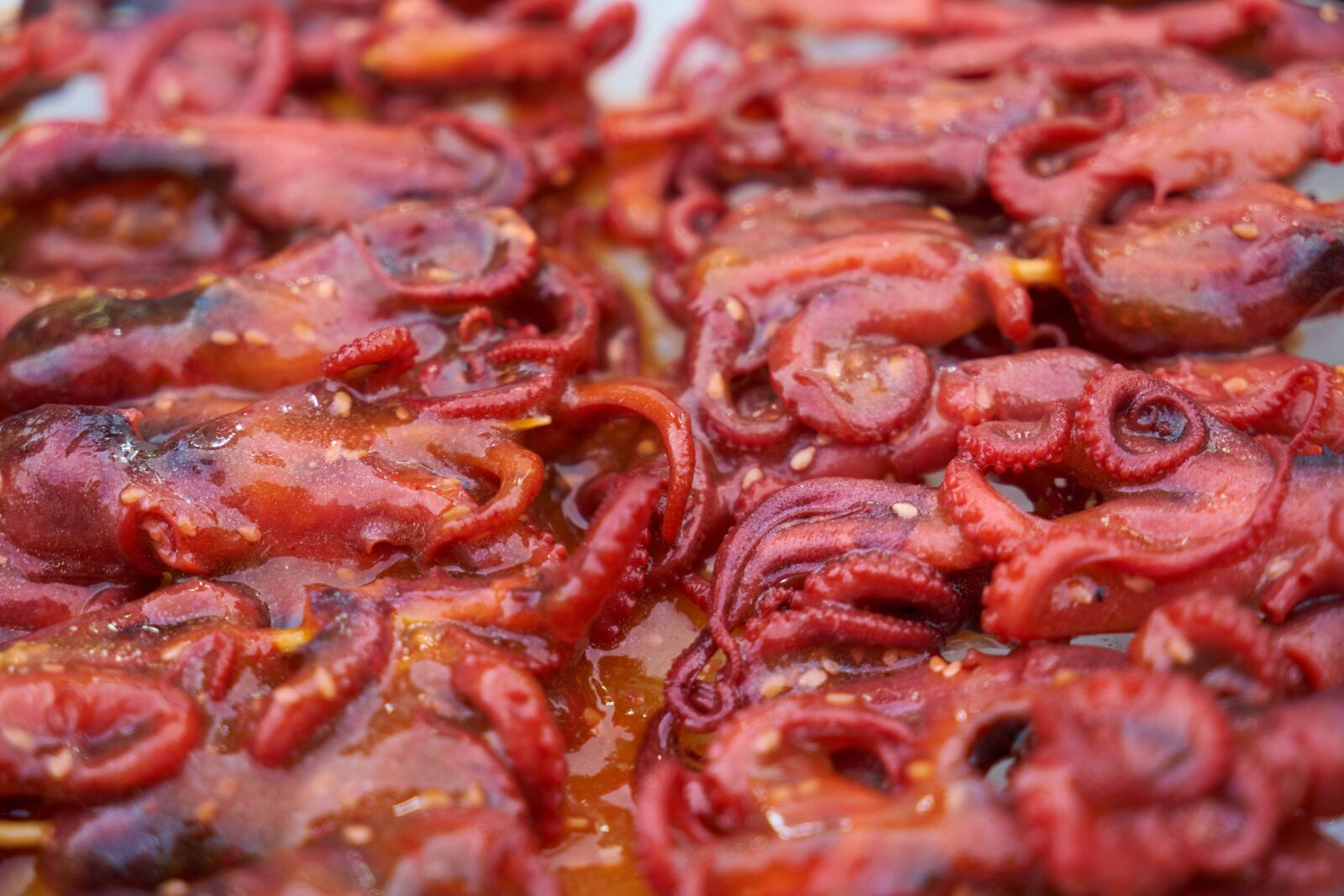 Sony a7R II sample photo. Octopus, red, baked photography
