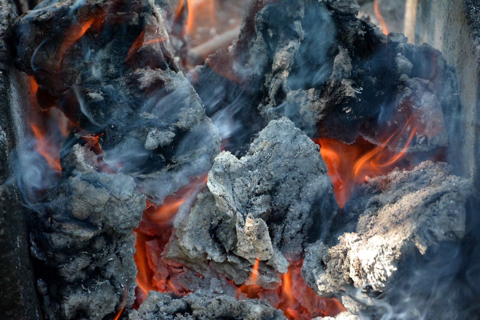 Nikon D7100 sample photo. Ali, embers, blind photography