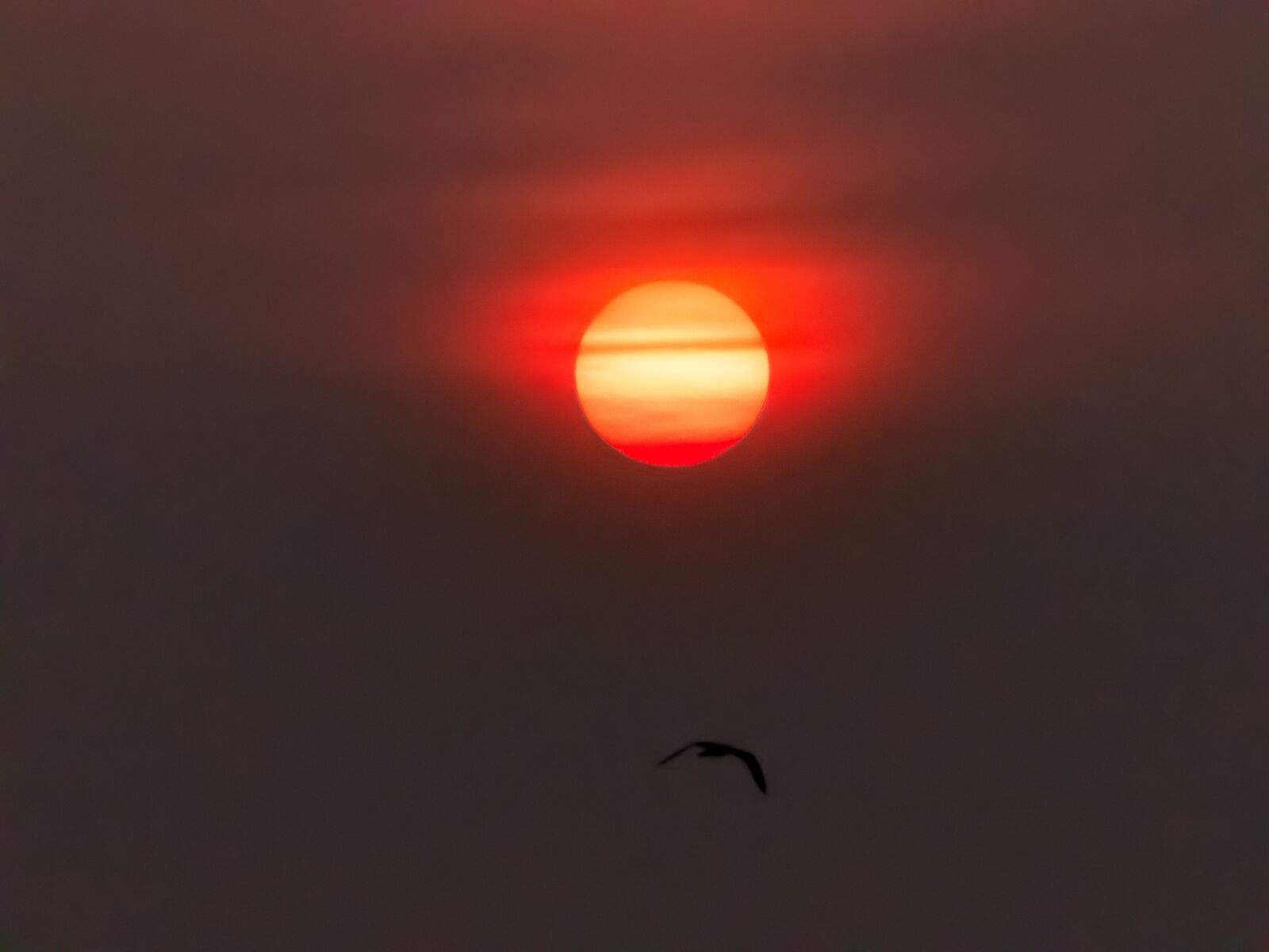 Panasonic Lumix DMC-FZ300 sample photo. Sun, backlighting, sunset photography