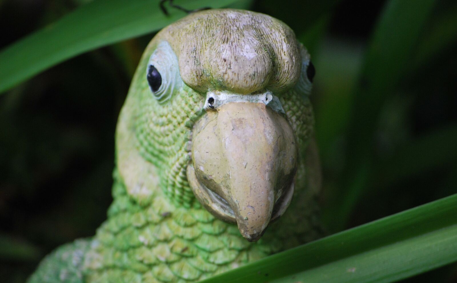 Nikon D60 sample photo. Figure, parrot, deco photography