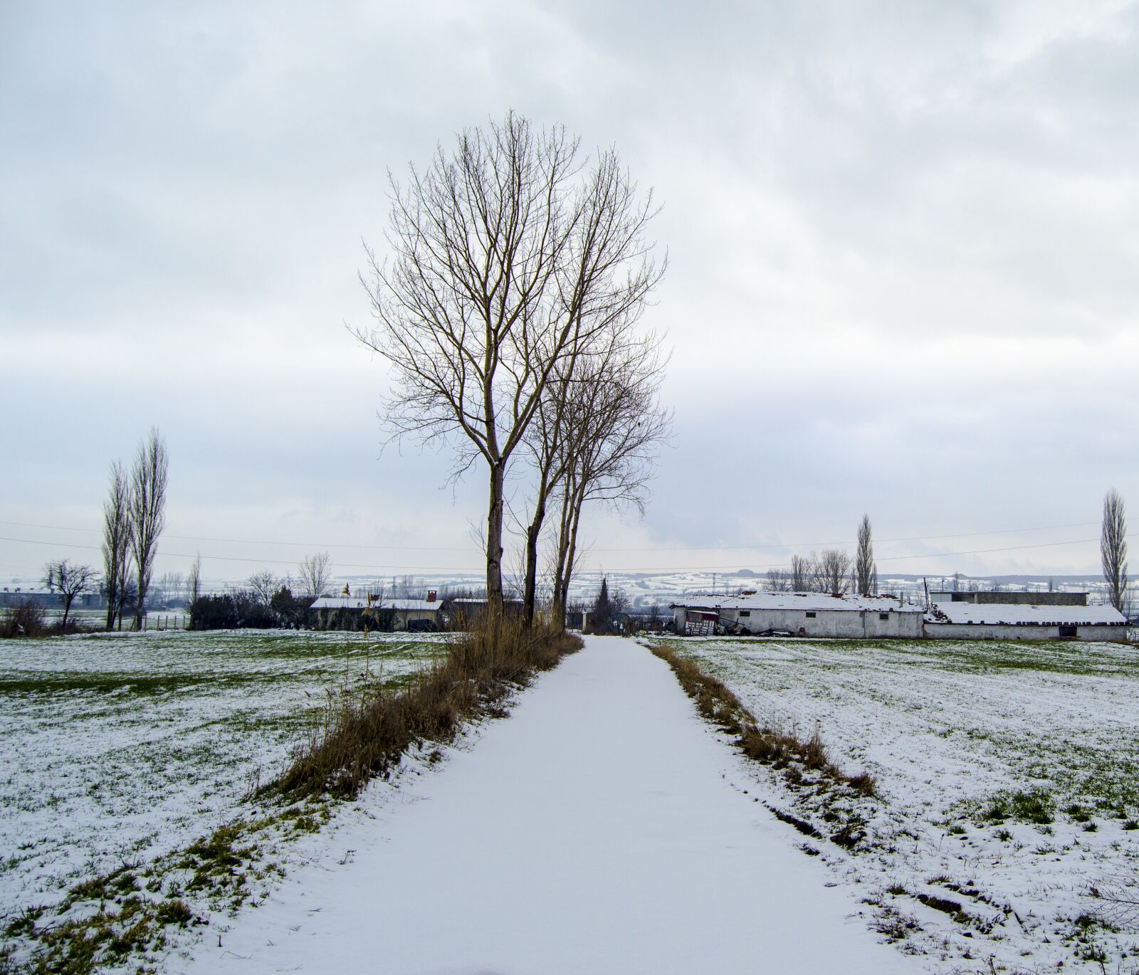 Nikon D5100 sample photo. Snow, winter, day photography
