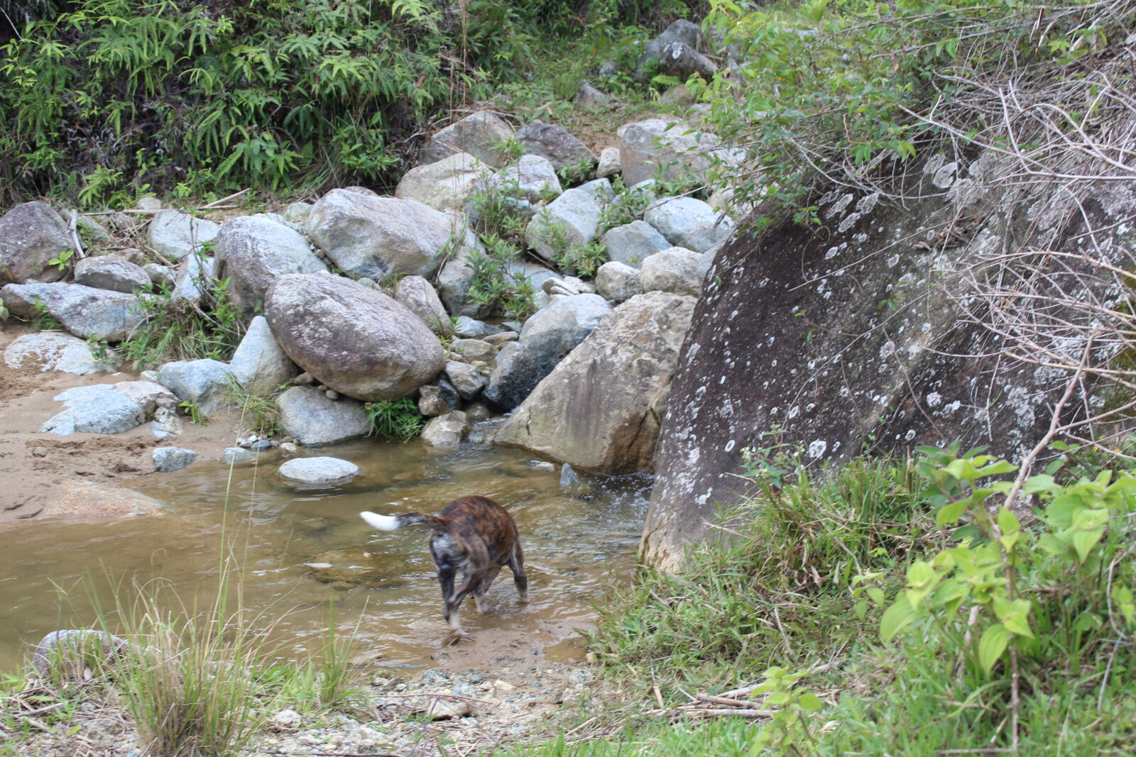 Canon EOS 1300D (EOS Rebel T6 / EOS Kiss X80) sample photo