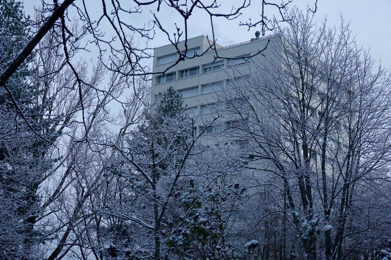 Sony a5100 sample photo. Building, snow, tree, winter photography