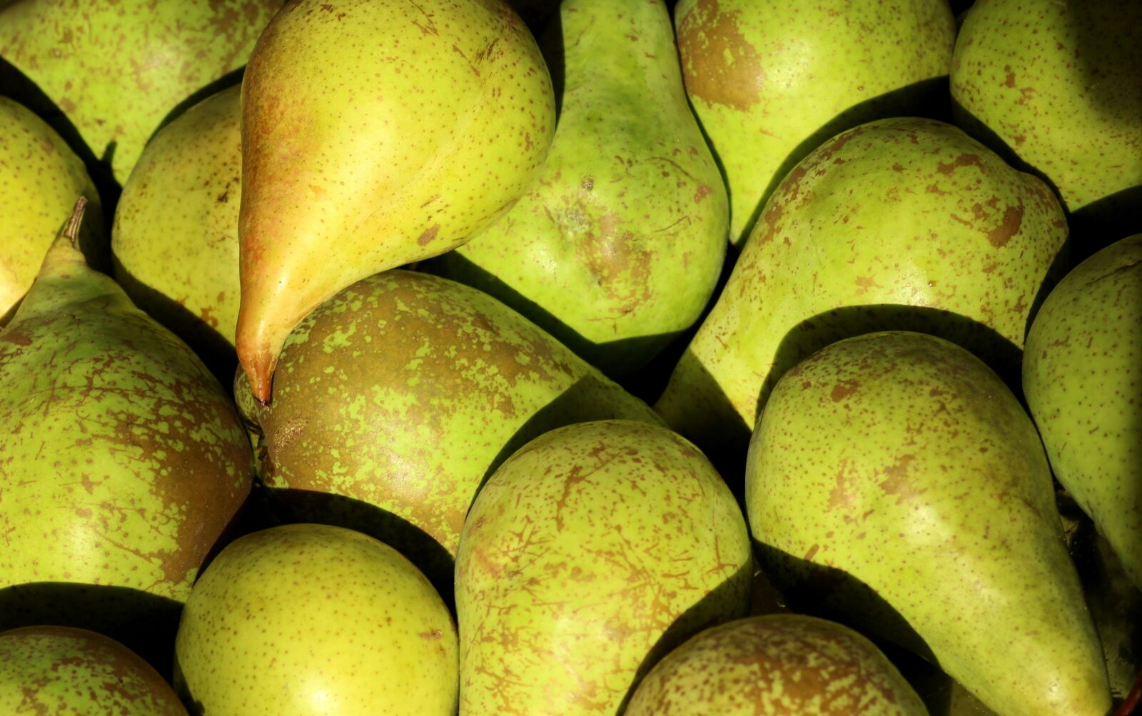 Canon EOS 1200D (EOS Rebel T5 / EOS Kiss X70 / EOS Hi) sample photo. Pears, fruit, food photography