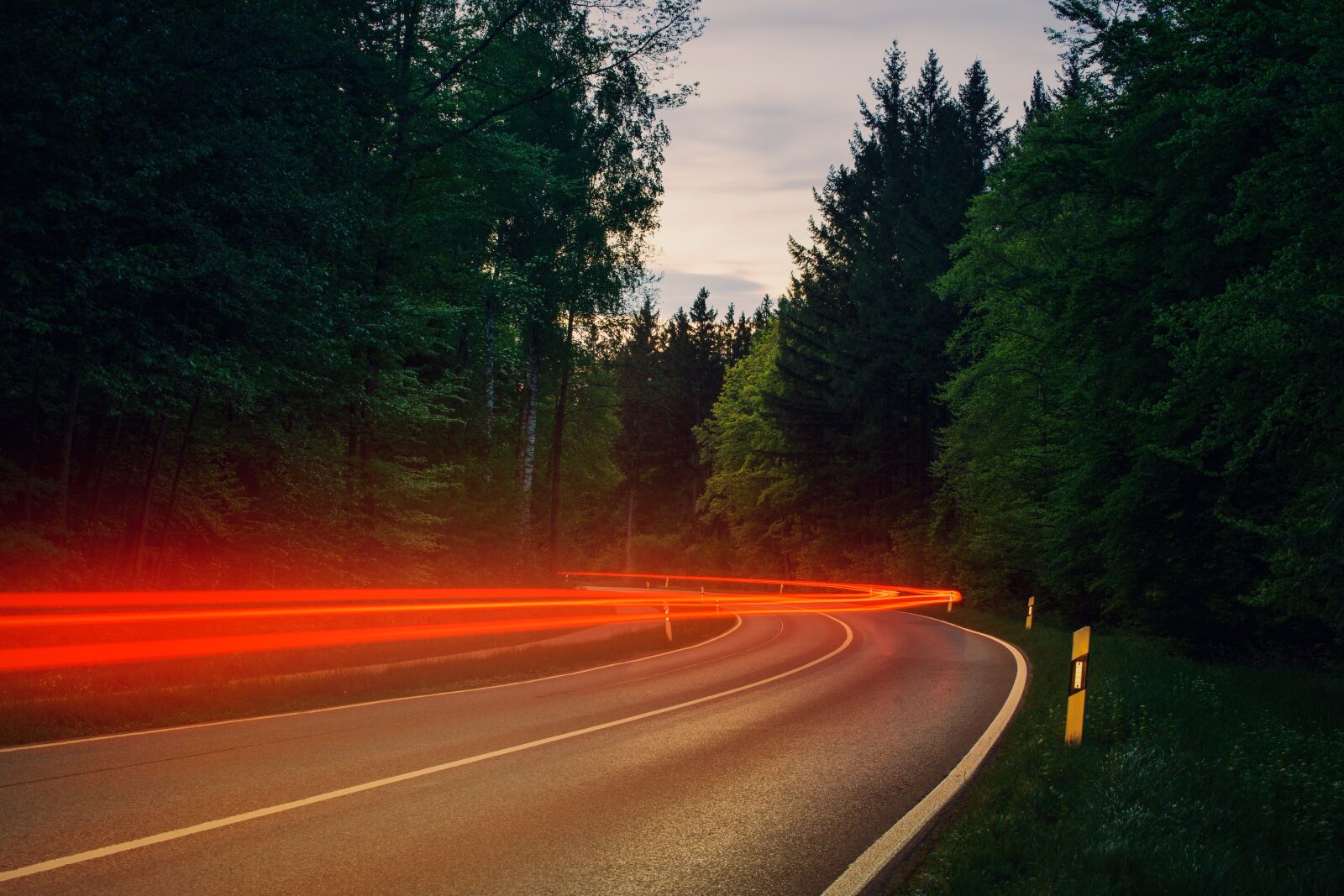 Sony a7 II + DT 70-200mm F4 SAM sample photo. Road, back light, forest photography