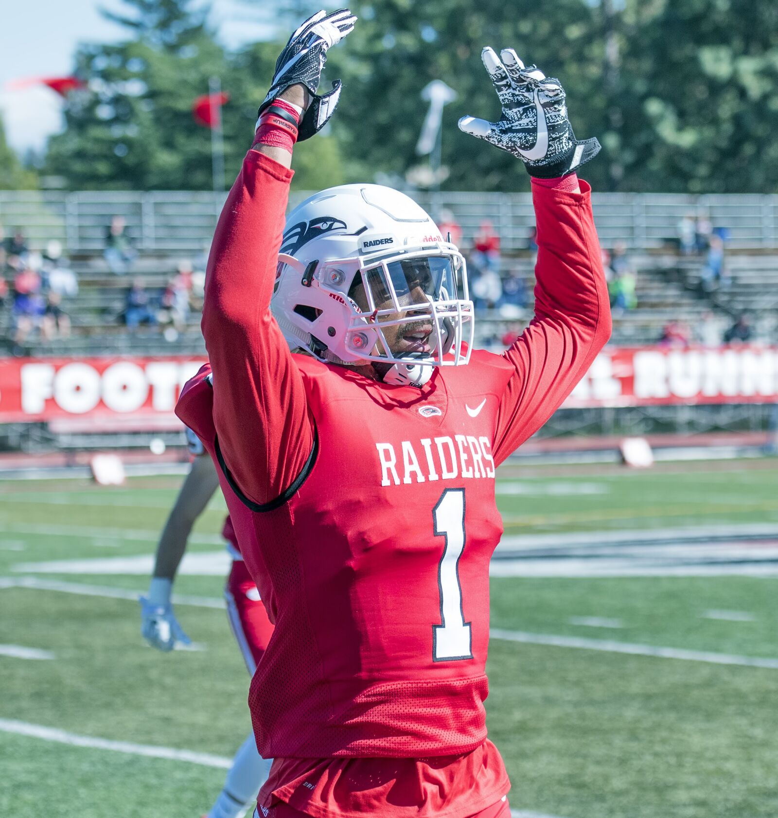 Nikon D500 sample photo. Football, stadium, goal photography