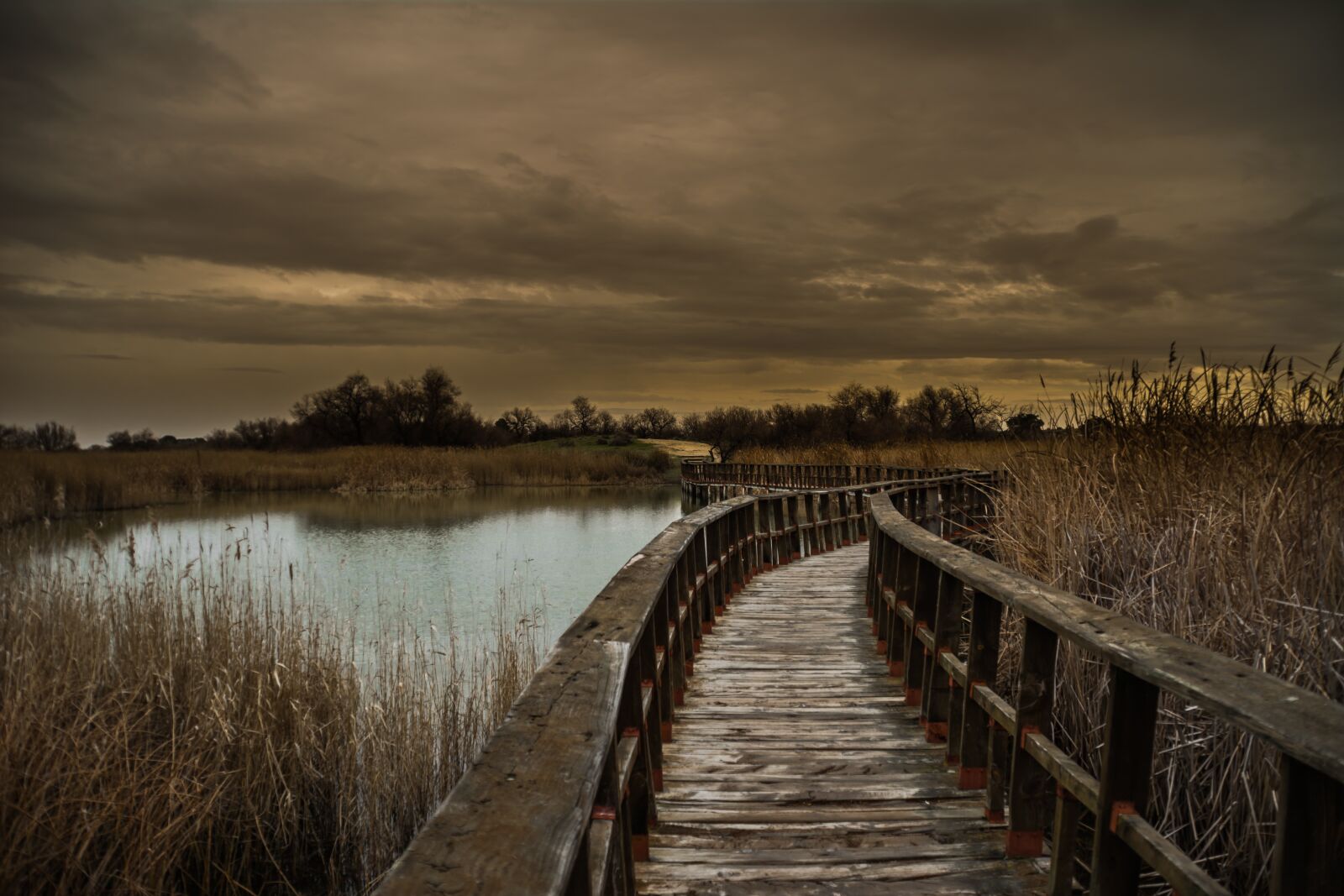 Nikon D5200 sample photo. Daimiel, nature, the tables photography