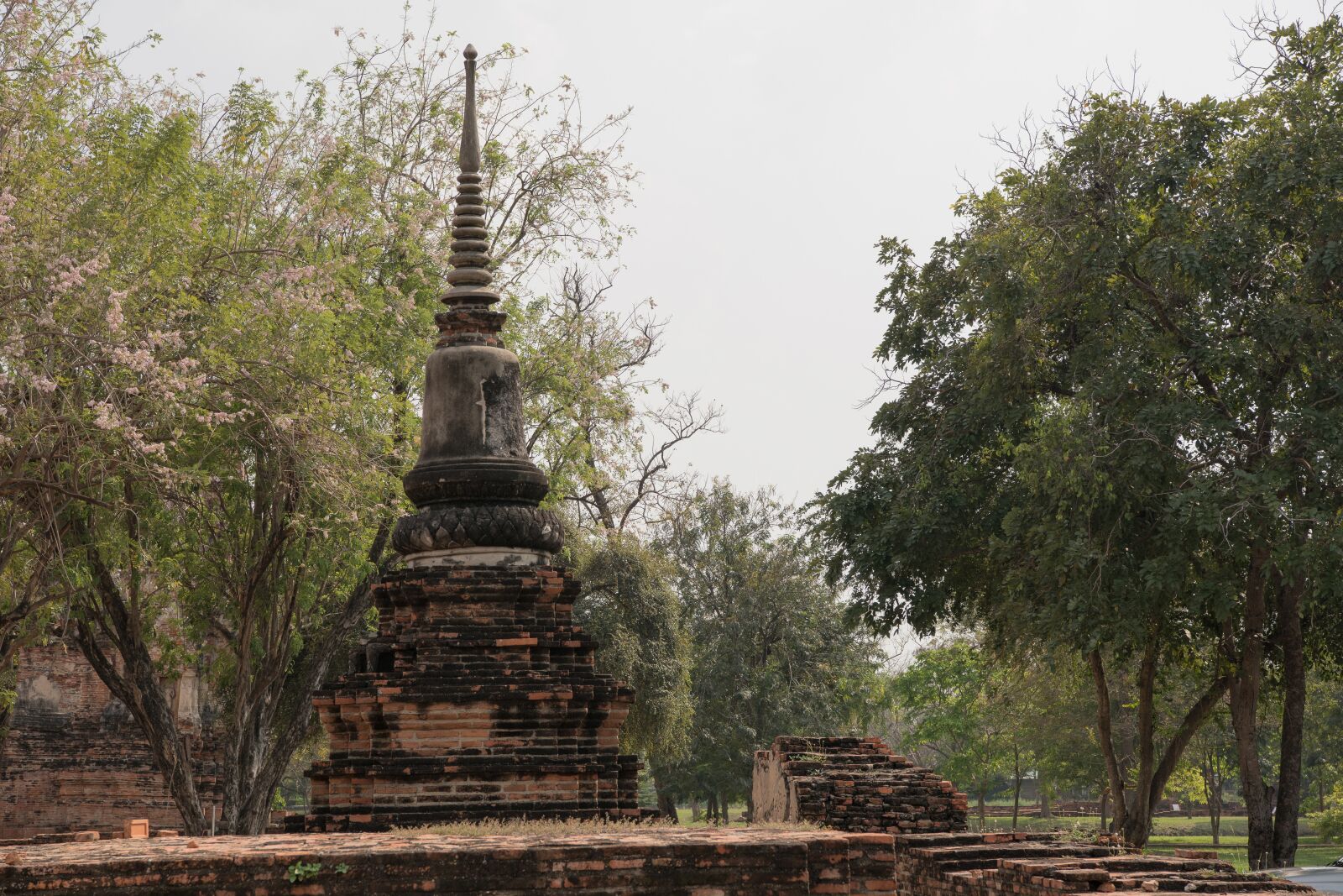 Nikon D850 sample photo. Thailand, ayutthaya, ruins photography