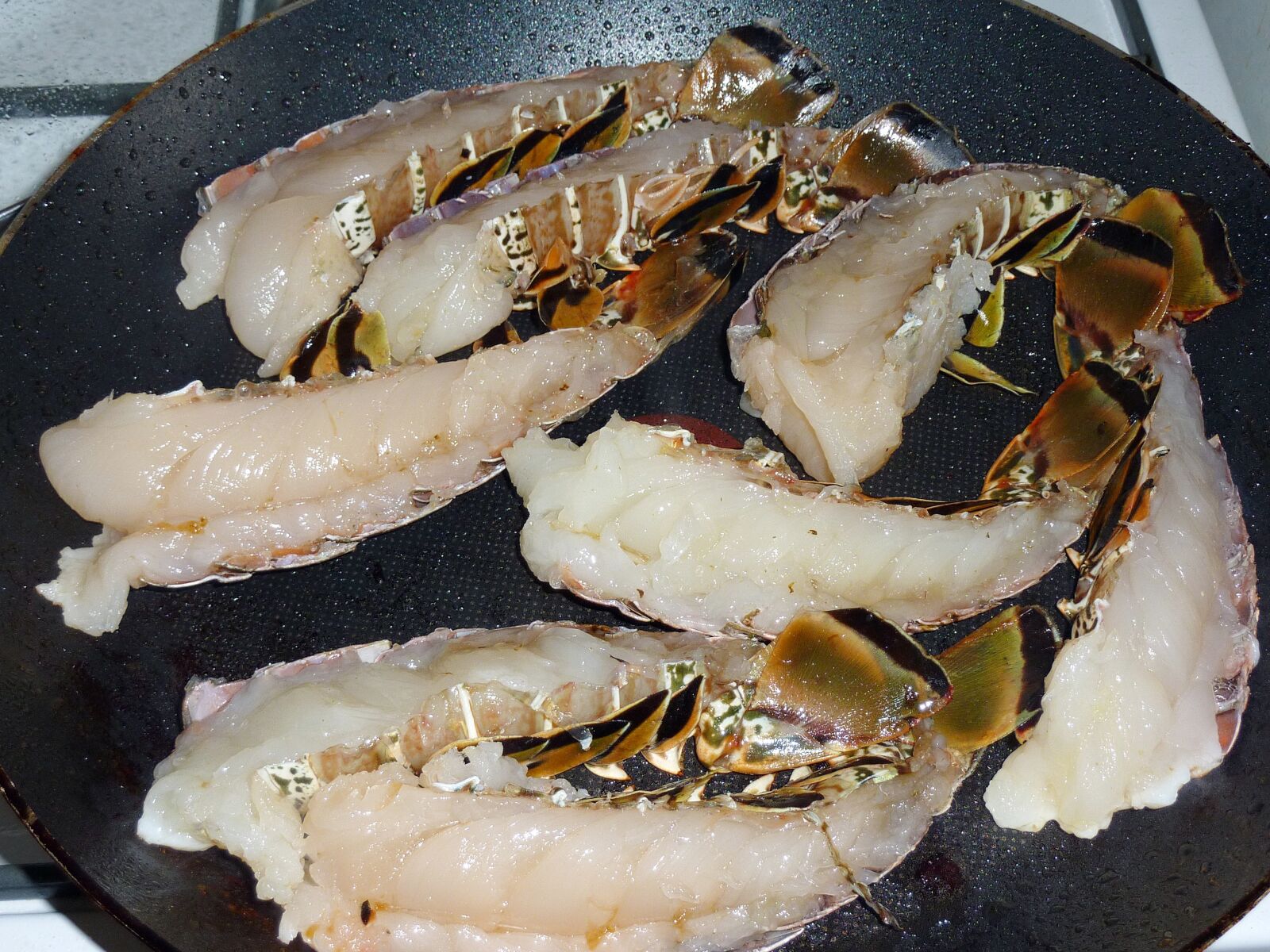 Panasonic DMC-TZ7 sample photo. Crayfish, crustacean, sea photography
