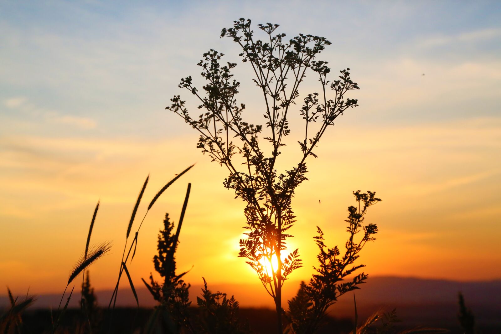 Canon EF 24-105mm F4L IS USM sample photo. Sunset, in the evening photography
