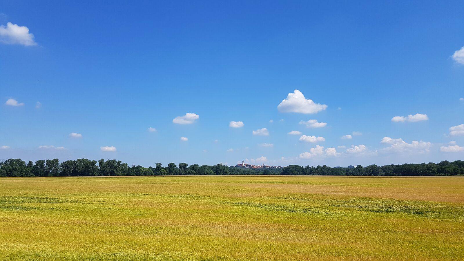 Samsung Galaxy S7 Edge sample photo. Bohemia, melnik, field photography