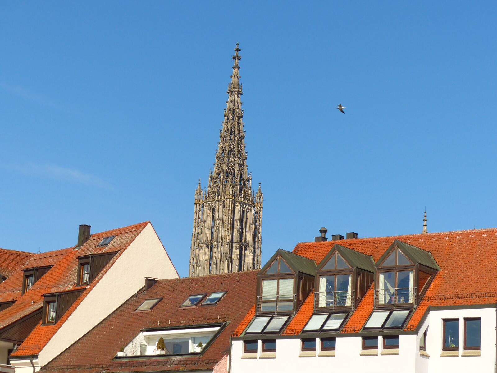 Panasonic Lumix DMC-FZ200 sample photo. Ulm, ulm cathedral, city photography