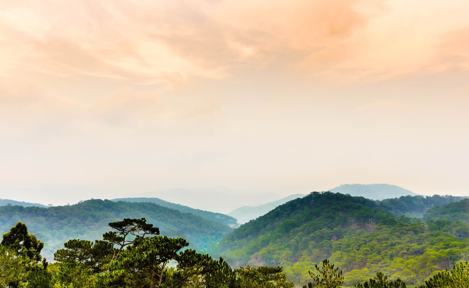 Nikon D5100 sample photo. Forest, mountain, sky photography