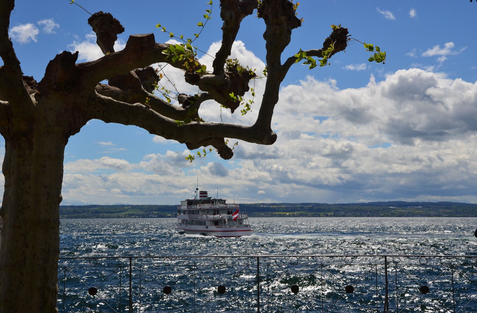 Nikon D5100 sample photo. Lake, ship, tree photography