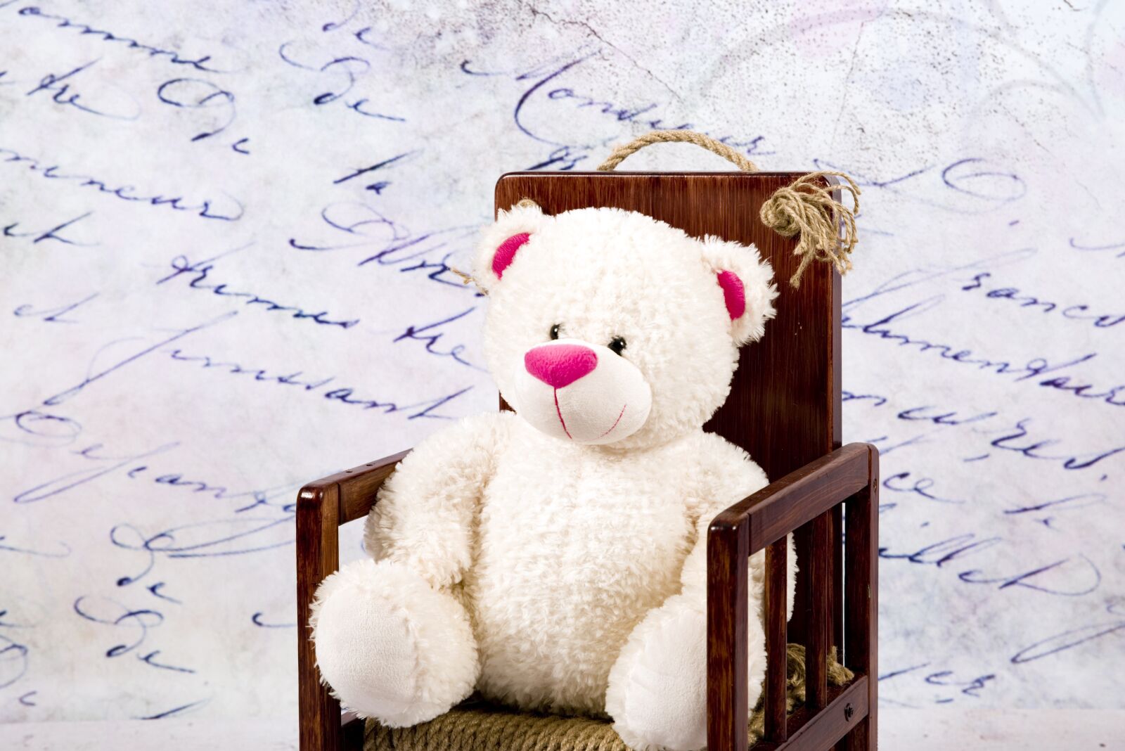Nikon D800 sample photo. Teddy bear, plush, toy photography
