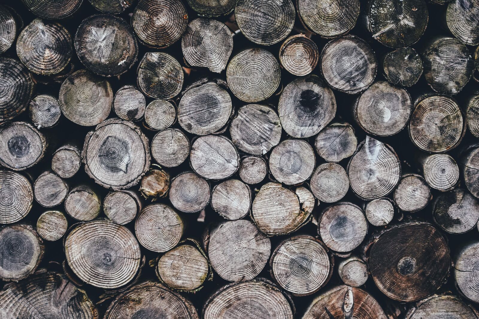Nikon D4S sample photo. Logs, pattern, pile photography