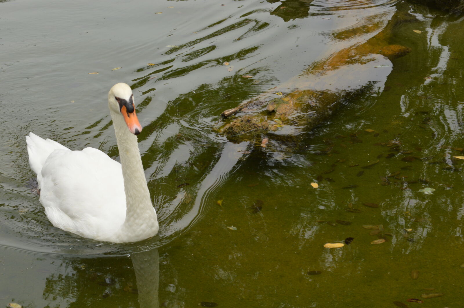 Nikon D3200 sample photo