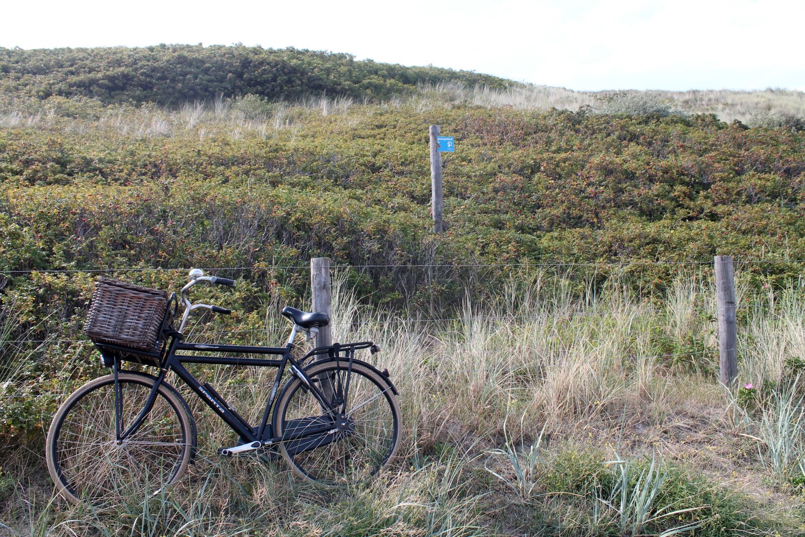 Canon EOS 1100D (EOS Rebel T3 / EOS Kiss X50) sample photo. Holland, netherlands, landscape photography