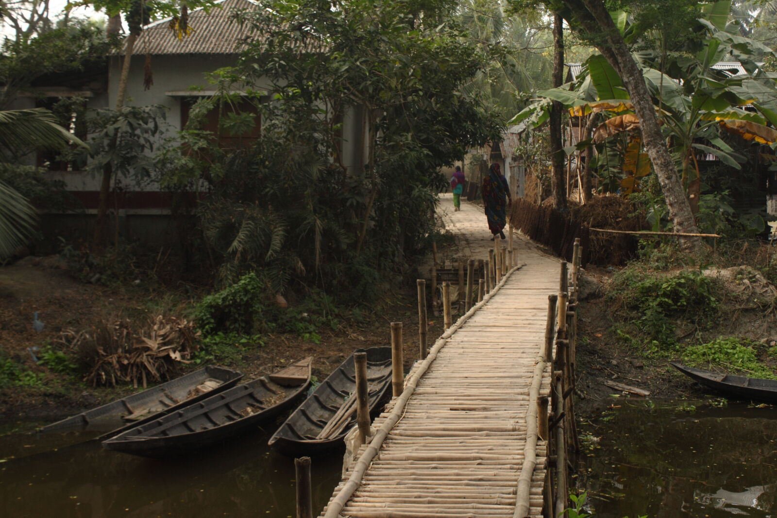 Canon EOS 500D (EOS Rebel T1i / EOS Kiss X3) sample photo. Bangladesh, canal, fisherman, nature photography