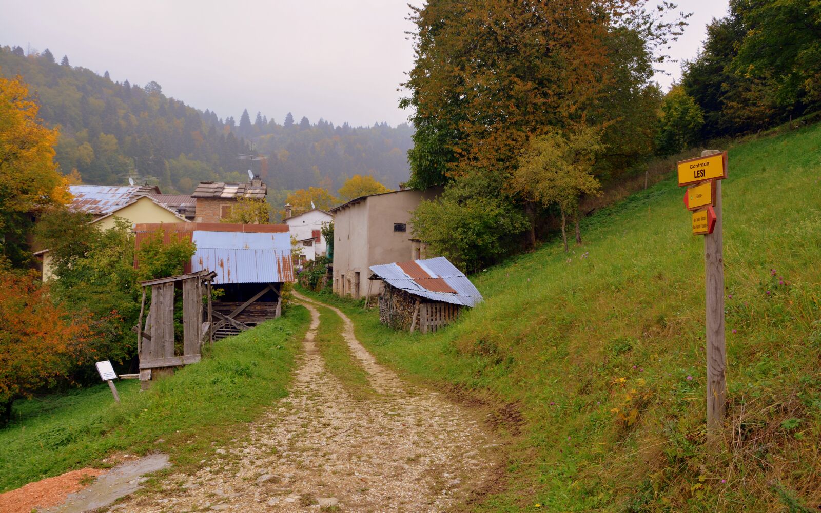 Nikon D7100 sample photo. Borgo, trail, tree photography