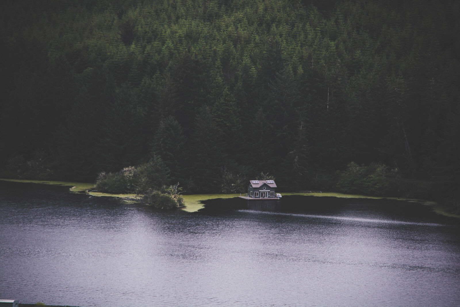 Nikon D5200 sample photo. Beach, daylight, environment, forest photography