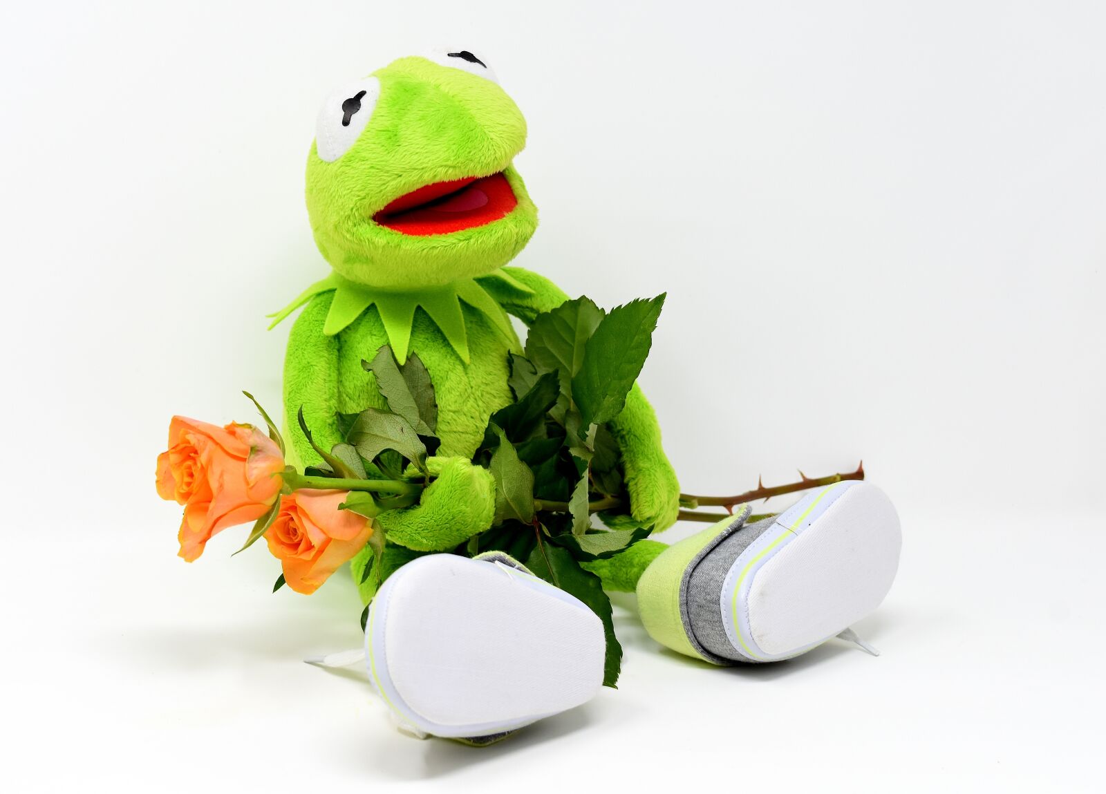 Nikon D7200 sample photo. Kermit, greetings, frog photography