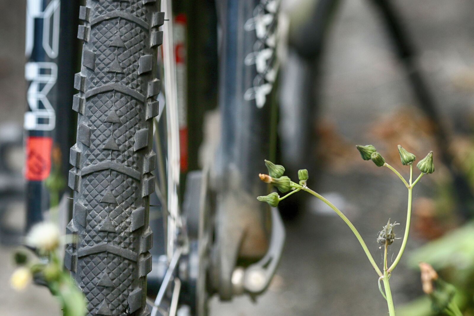 Canon EOS 7D Mark II + Canon EF 135mm F2L USM sample photo. Wheel, bike, bicycle photography