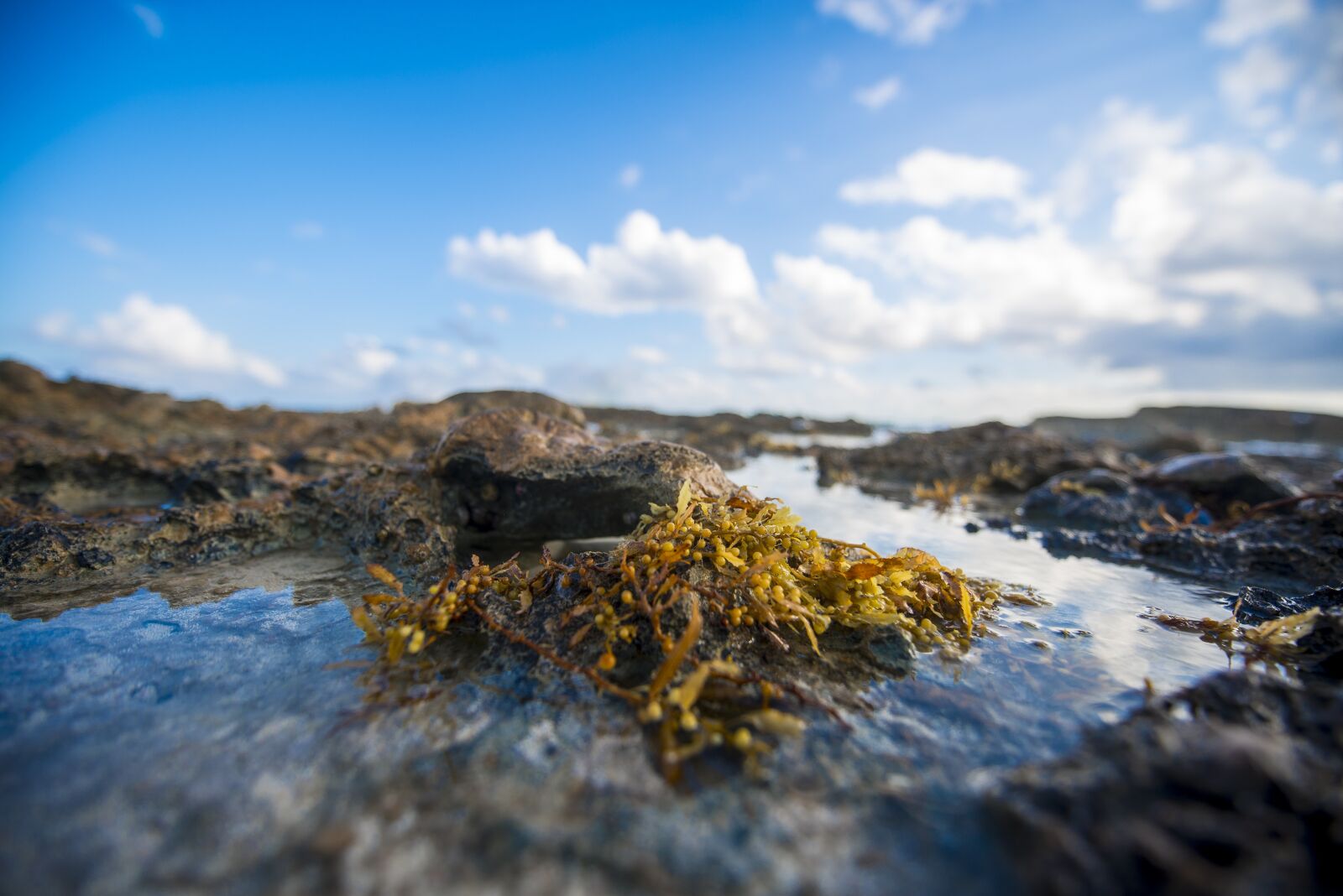 Nikon D800 sample photo. Beach, nature, sky photography