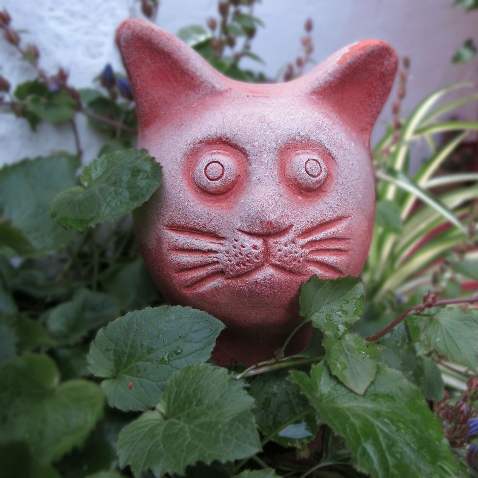 Canon PowerShot G12 sample photo. Ceramic, garden figurines, cat photography