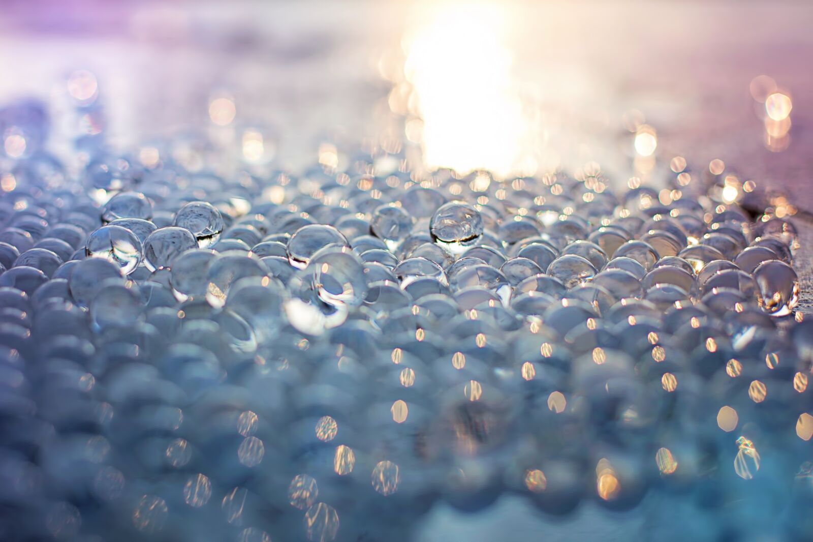 Canon EF 50mm F1.4 USM sample photo. Orbs, orbeez, glow photography