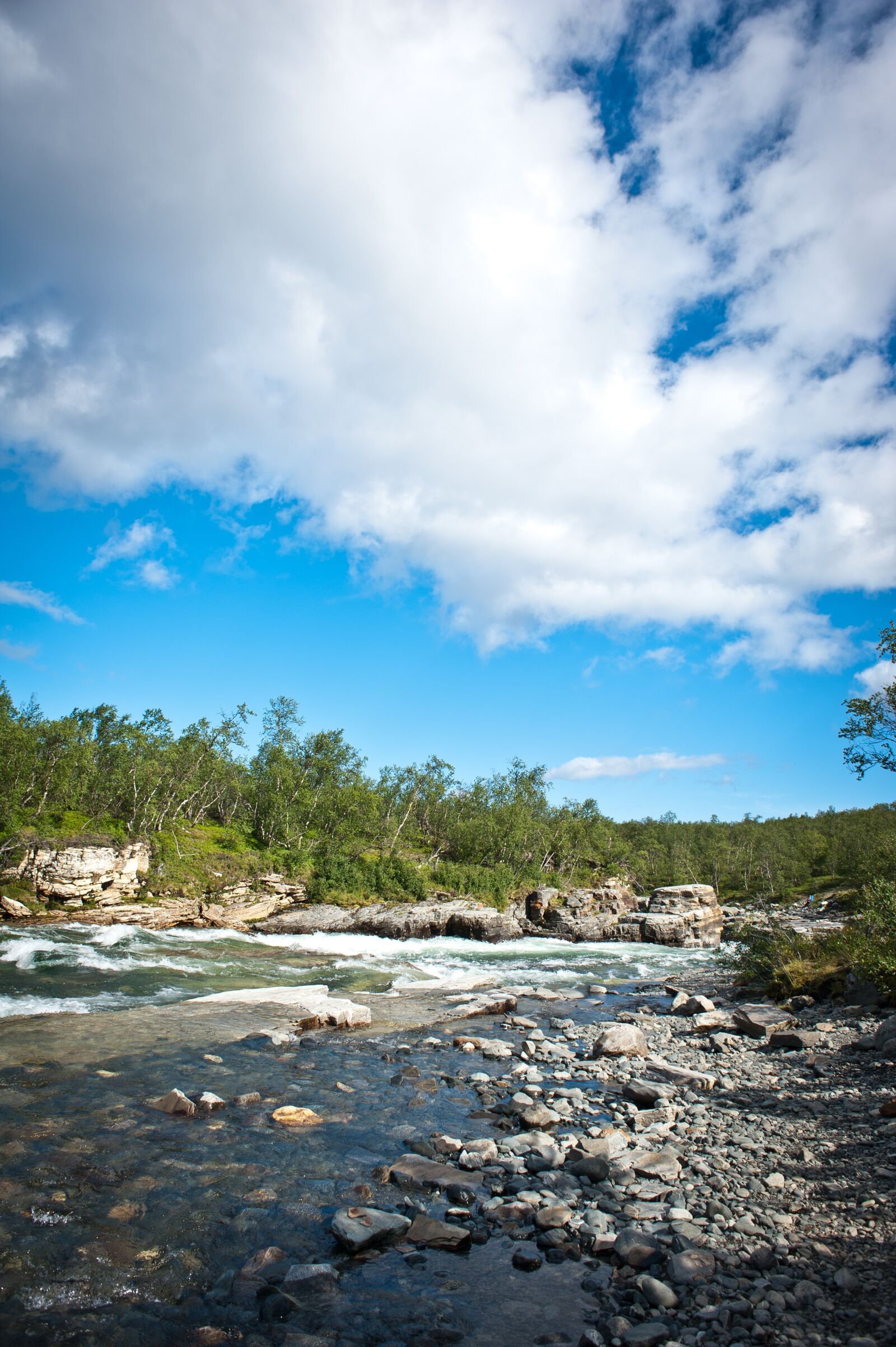 Nikon D700 sample photo. King's trail, hiking, river photography