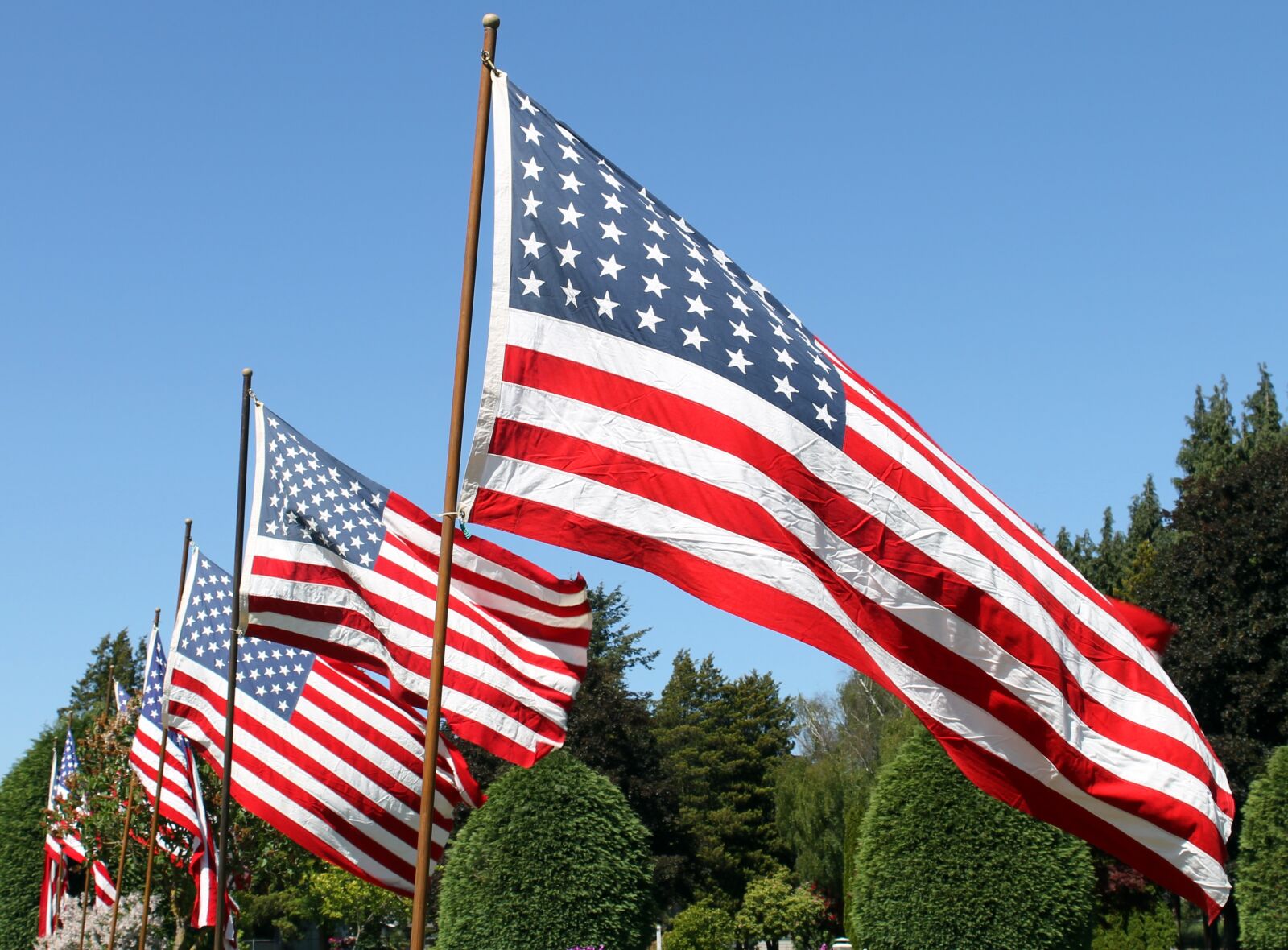 Canon EOS 1100D (EOS Rebel T3 / EOS Kiss X50) sample photo. Flag, memorial day, flags photography