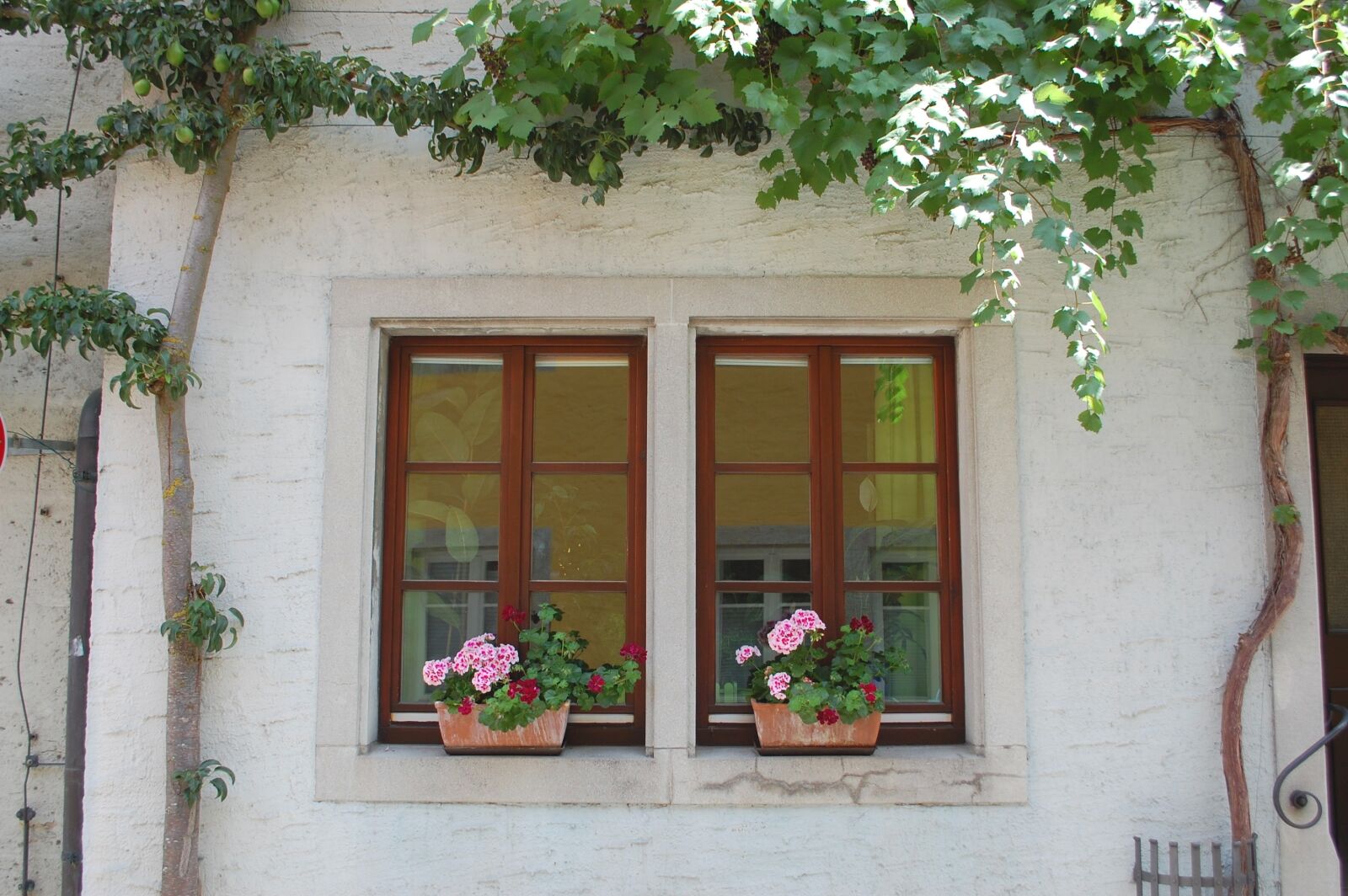Nikon D40 sample photo. Rothenburg, window, facade photography