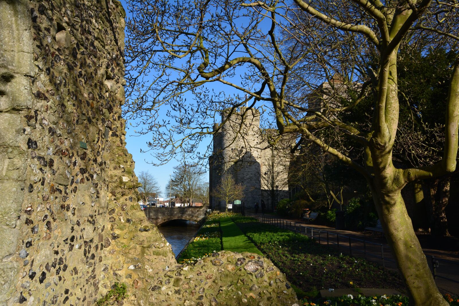 Nikon D5200 sample photo. England, canterbury, gelding photography