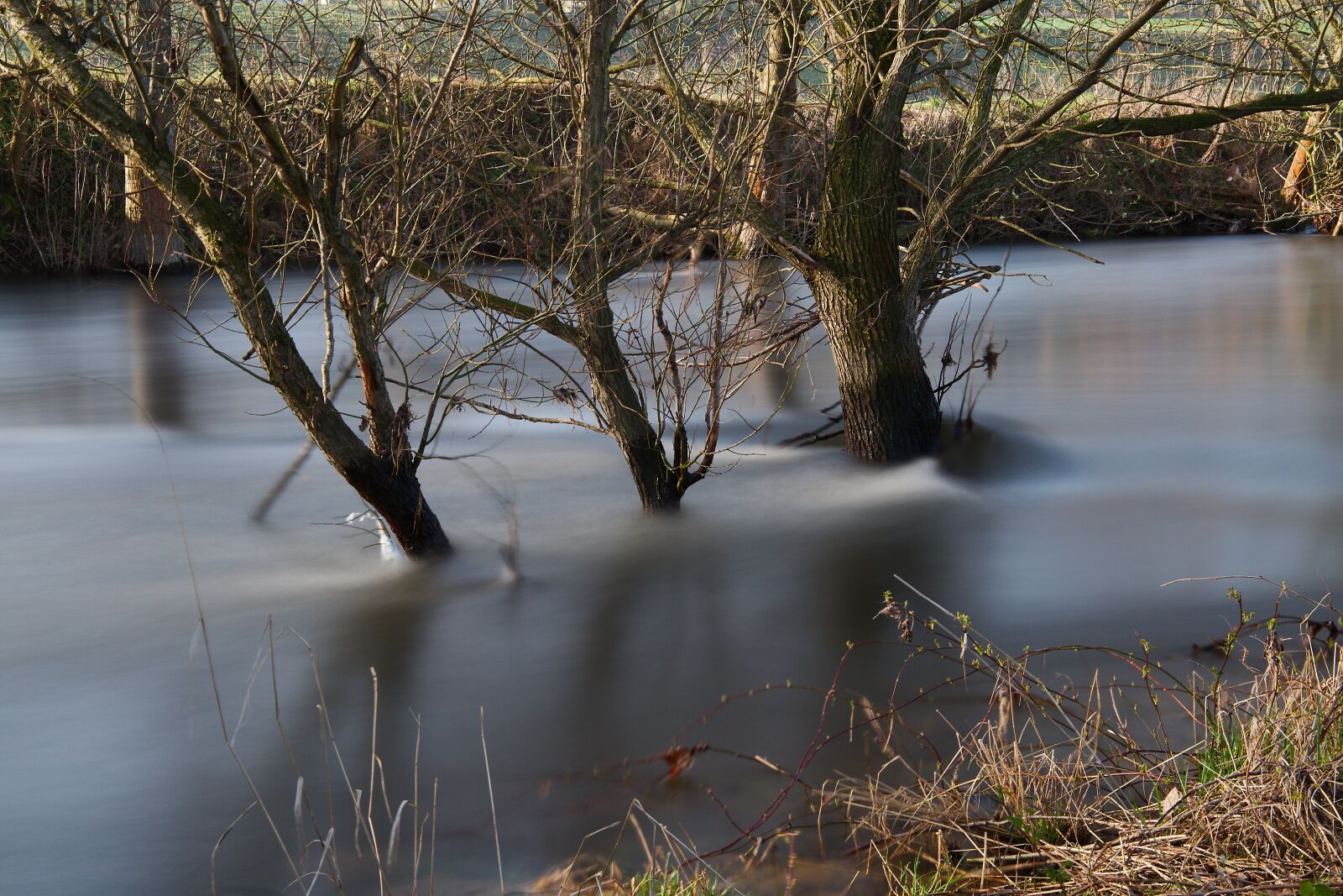 Canon EOS 6D sample photo. Waters, nature, reflection photography