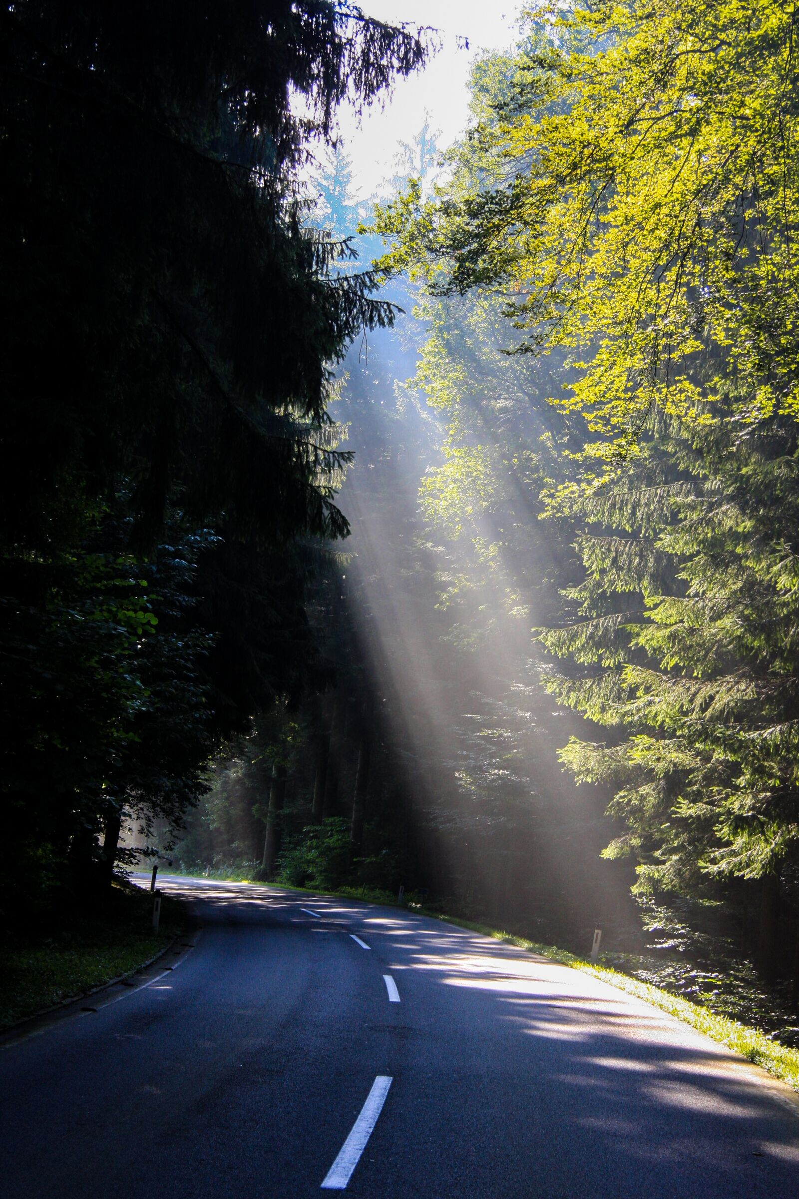 Canon EF-S 17-85mm F4-5.6 IS USM sample photo. Light, landscape, road photography