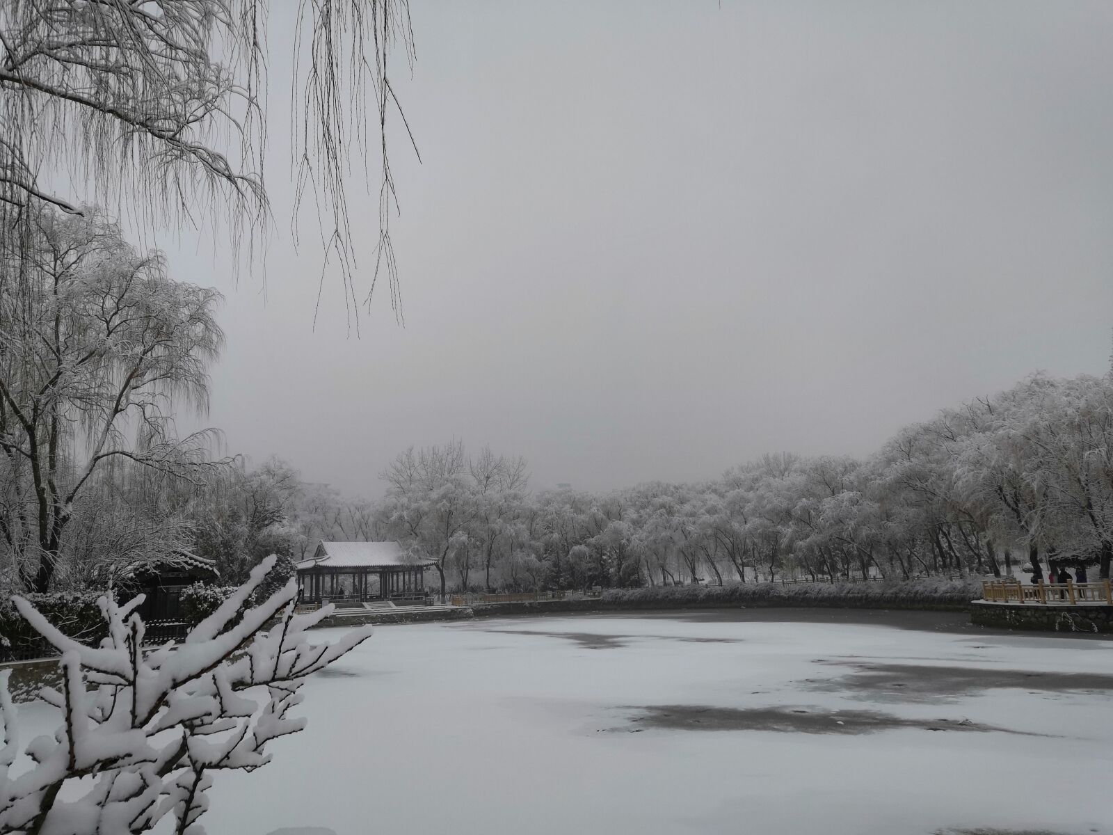 HUAWEI nova 3 sample photo. Snow, lake, trees photography