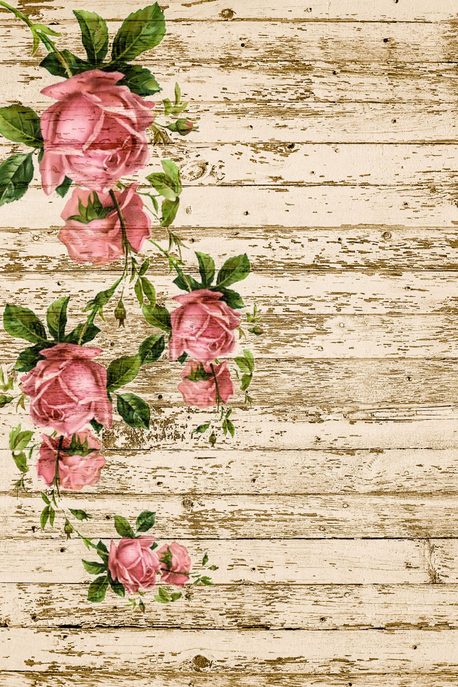 Canon EOS 5D Mark III sample photo. On wood, roses, pink photography