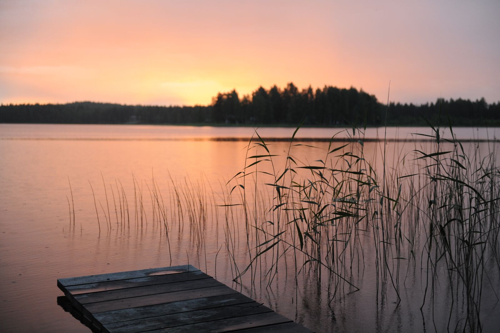 Nikon D3 sample photo. Summer night, norrland, pink photography