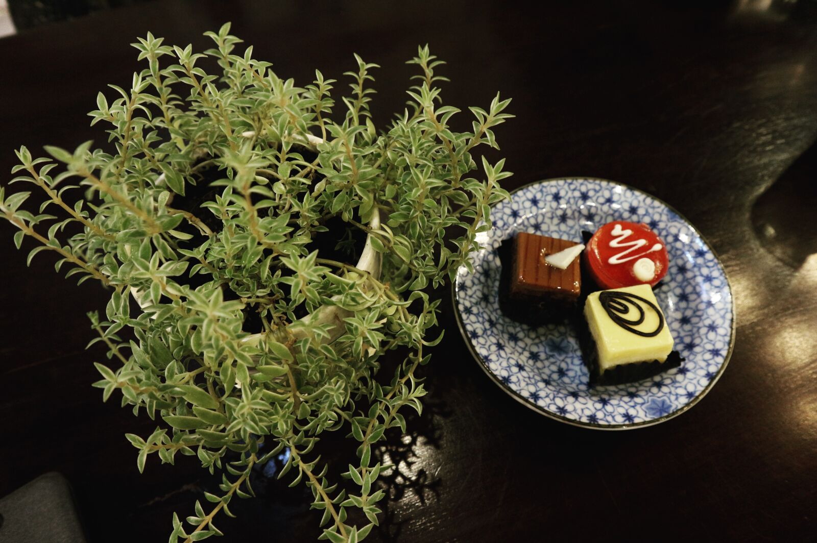 Canon EF-M 15-45mm F3.5-6.3 IS STM sample photo. Cake, small, tree photography