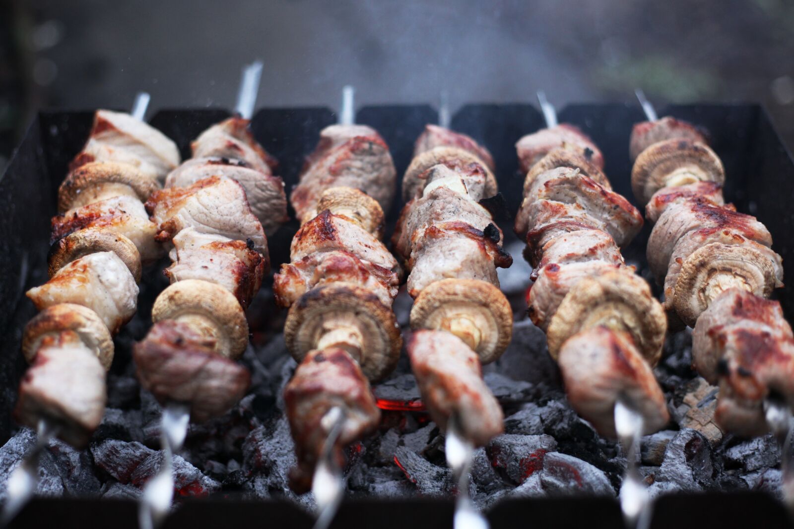Canon EOS 5D Mark II sample photo. Skewer, bbq, food photography